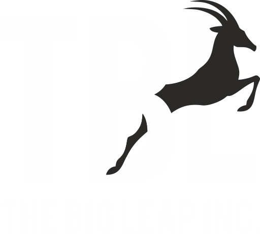 The Big Leap Inc.